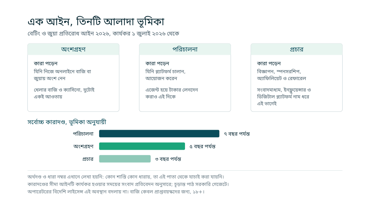 তিনটি কলামে আইনের তিন ভূমিকা, অংশগ্রহণ, পরিচালনা ও প্রচার, কারা কোন ভাগে পড়েন তার তালিকাসহ, আর নিচে ভূমিকা অনুযায়ী সর্বোচ্চ কারাদণ্ডের তিনটি দণ্ডচিত্র