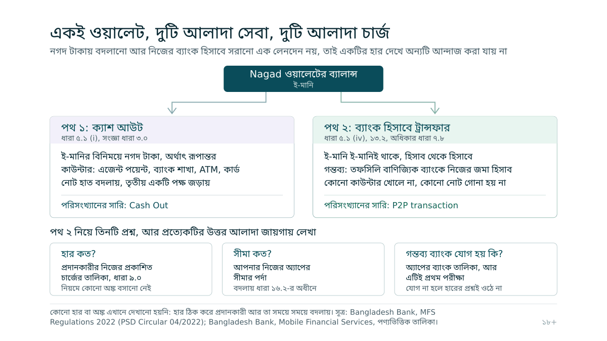 একটি ওয়ালেট থেকে দুটি আলাদা পথ দেখানো হয়েছে, একটি এজেন্টের কাউন্টারে গিয়ে ই-মানি নগদ টাকায় বদলায় আর অন্যটি ব্যাংকের জমা হিসাবে গিয়ে ই-মানিই থাকে; নিচে বাংলাদেশ ব্যাংকের পণ্যভিত্তিক তালিকার দুটি আলাদা সারি আর তিনটি ঘরে দেখানো কোন প্রশ্নের উত্তর কোথায় লেখা